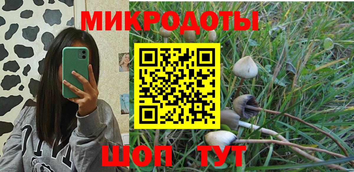 Десногорск  Галлюциногенные грибы Psilocybine cubensis  Псилоцибиновые грибы Cubensis  купить наркотик  Вход с VPN 