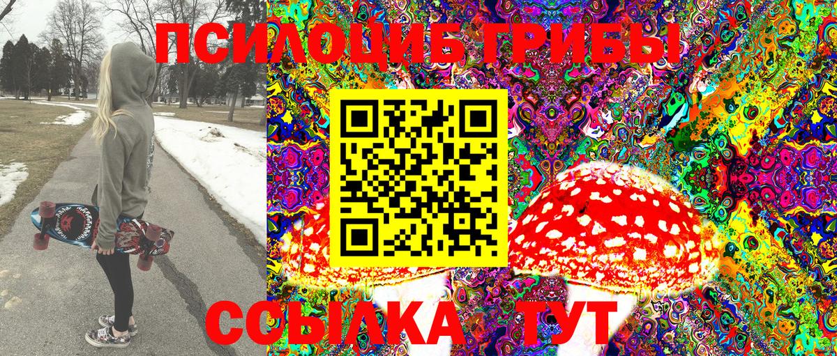 Псилоцибиновые грибы Psilocybine cubensis Десногорск